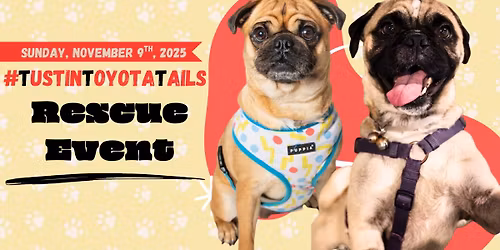 #TustinToyotaTails Rescue Event