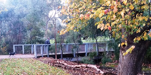 Guided Walk - King Rodney Park \/ Ityamai-itpina (Park 15)