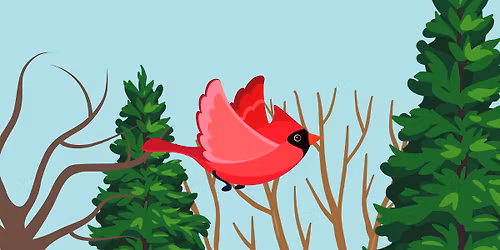 Birding Walks with Master Naturalist Lily Glaeser