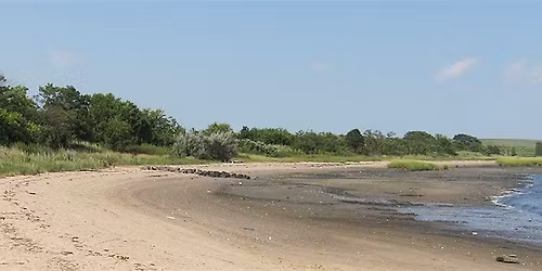 Canarsie Beach Clean Up