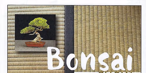 SBBK Bonsai Show 2026
