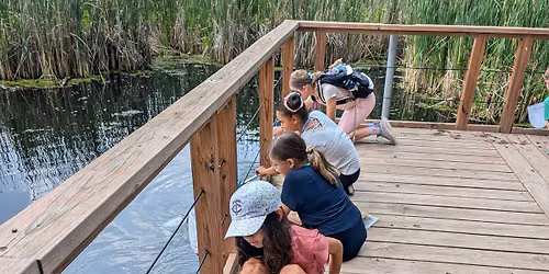 Marshland Explorers