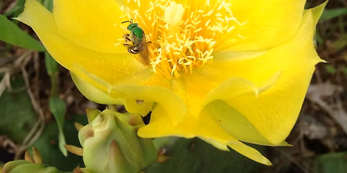 Dinner and a Speaker: Wisconsin's Invertebrates