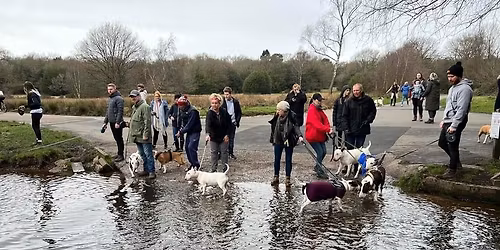 Seven's welcome walk