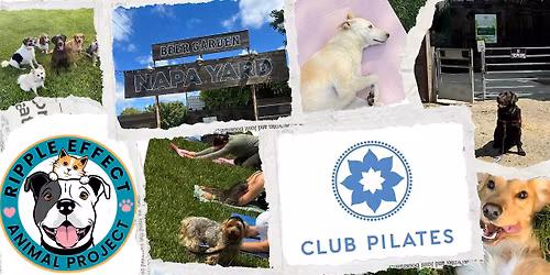 Pups & Pilates