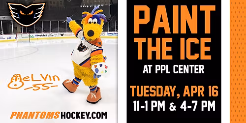 Parking Providence Bruins at Lehigh Valley Phantoms