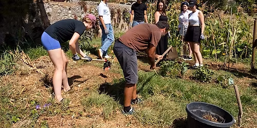 Open Day at the Community Garden | Dia Aberto no Jardim Comunit\u00e1rio