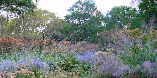 Walking Tour of the Perennial Gardens