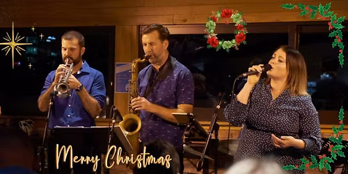 Tiger Moth: A Not-So-Silent Night!