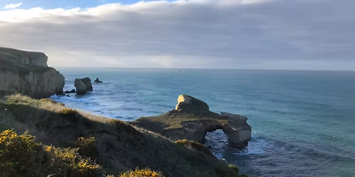 2025 NZVA Wildlife Conference