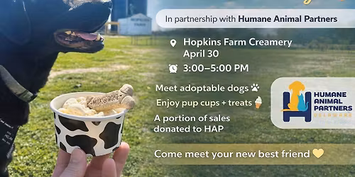 Shelter Dog Day at The Creamery