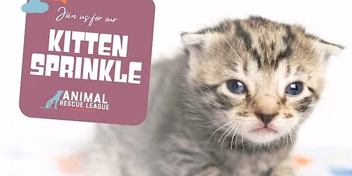 Kitten Sprinkle 