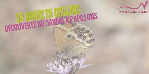 Un monde en couleurs : d\u00e9couverte du jardin \u00e0 papillons