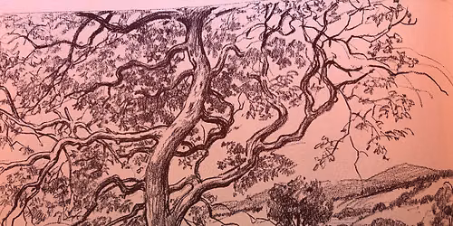 Drawing Class (Landscape)