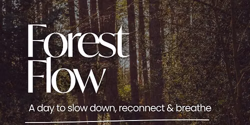 The Forest Flow at Camp Katur \ud83c\udf42 