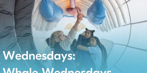 Summer at NBWM | Wednesdays: Whale Wednesdays