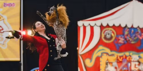 Canine Circus