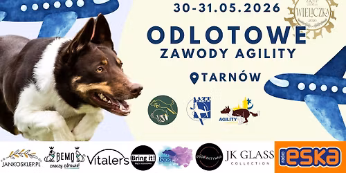 Odlotowe Zawody Agility w Tarnowie! \u2708\ufe0f\ud83d\udc3e