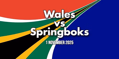 Wales vs Springboks