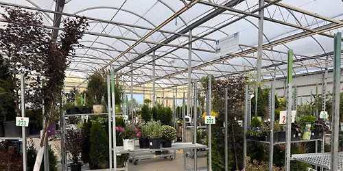 Community Day Plant Sale