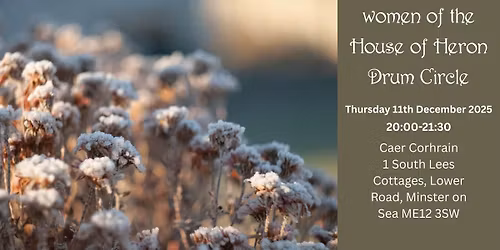 Women of the House of Heron Drum Circle