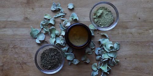 Healing Herbs Workshop