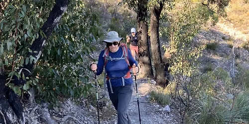 Black Hill Nature Hike (4km)