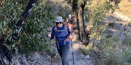 Black Hill Nature Hike (4km)