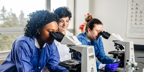 Knight 2 Knight Biology Networking Social