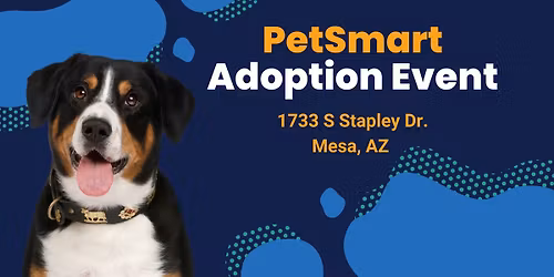 Mesa PetSmart Adoption Event