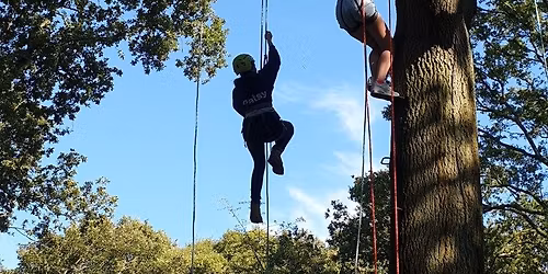 Tree Climbing at Capesthorne Hall Bank Holiday Monday 4th May 2026