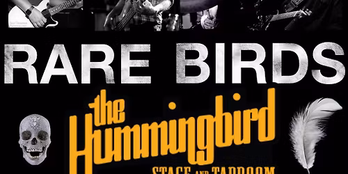 Rare Birds live at The Hummingbird
