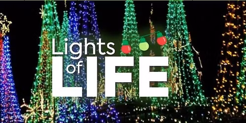 Dinner at Marietta Diner and Christmas Lights Tour at Life University