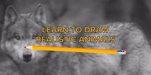 Drawing Animals Class: Wolf