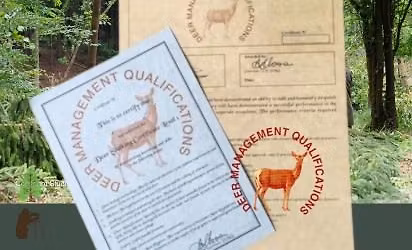 Deer Stalking Certificate 1 Course