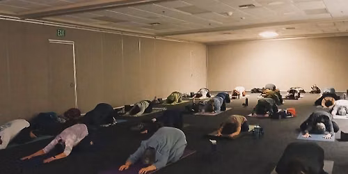 Shelton Parks and Rec Fall Yoga Session with Joonbug Yoga