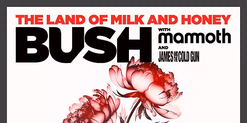 Bush