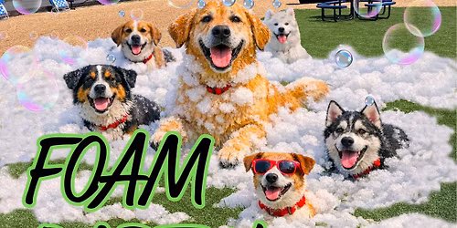Foam Party at Off Leash Social
