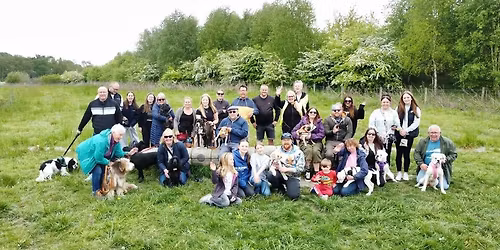 Mince Pies and Muddy Paws - New Year Walk