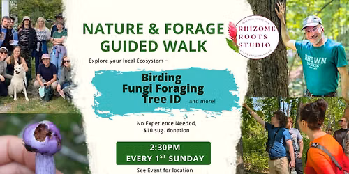 Outdoor Adventures: Guided Nature & Forage Walks 