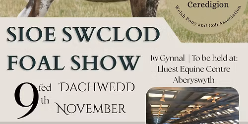 Ceredigion Welsh Pony & Cob Association Foal Show