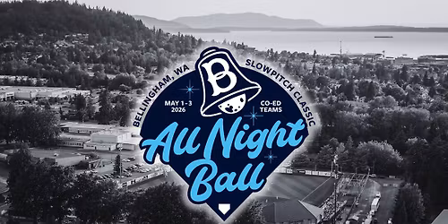 All Night Ball \u2014 Co-ed Adult Softball Tournament