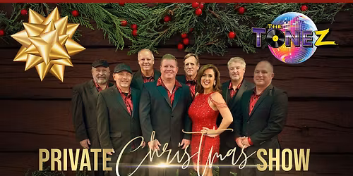 The Tonez LIVE @ Private Christmas Event