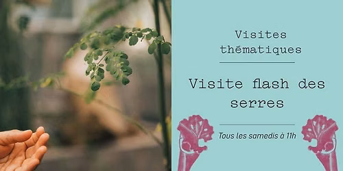 Visite flash des serres