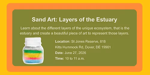 Sand Art: Layers of the Estuary