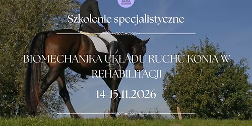 Szkolenie Biomechanika uk\u0142adu ruchu konia w rehabilitacji