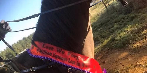 Purple Poppy Ride