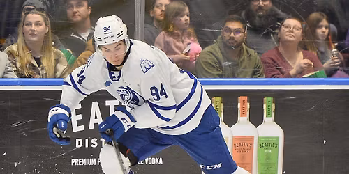 Brampton Steelheads vs. Brantford Bulldogs