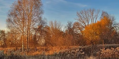 Winterwandeling in de Assebroekse Meersen met Myriam