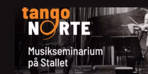 "\u00c5terblickar p\u00e5 ett kvartssekel av tango i Stockholm" Birgitta Holmrium: